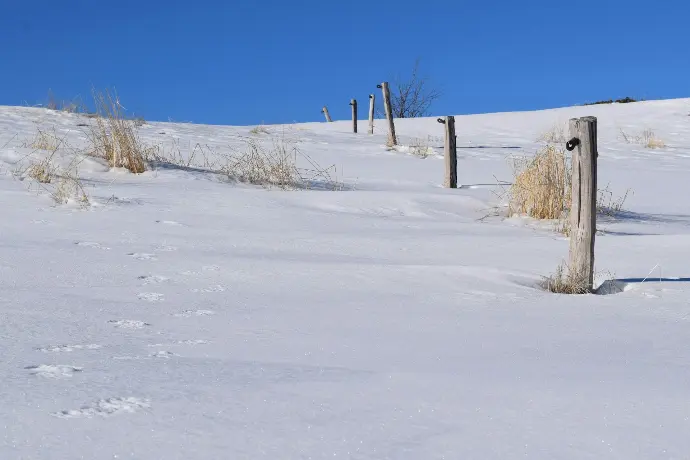 a snow covered hill with a wooden post in the middle of it